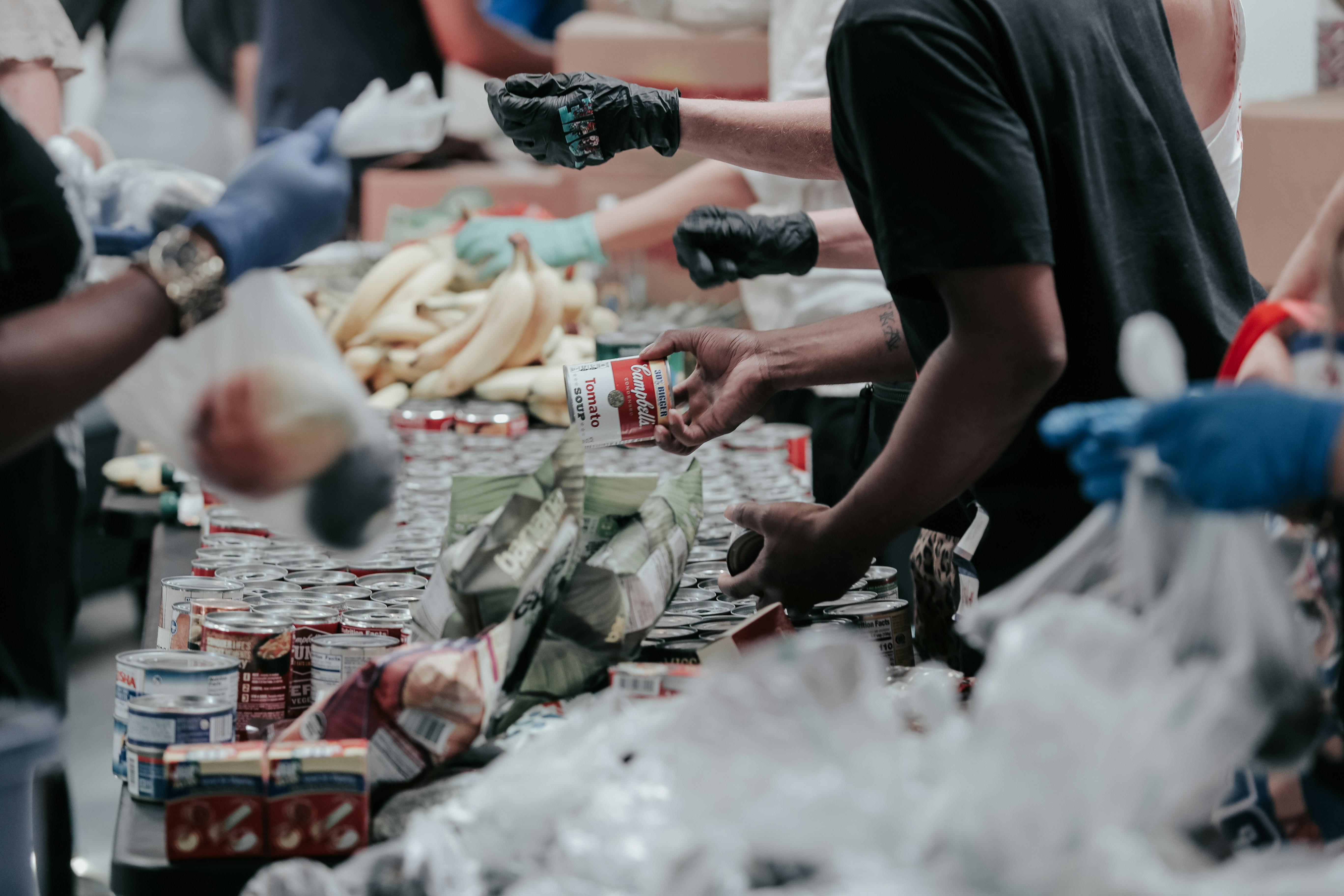 Volunteers sorting canned food and produce for community distribution